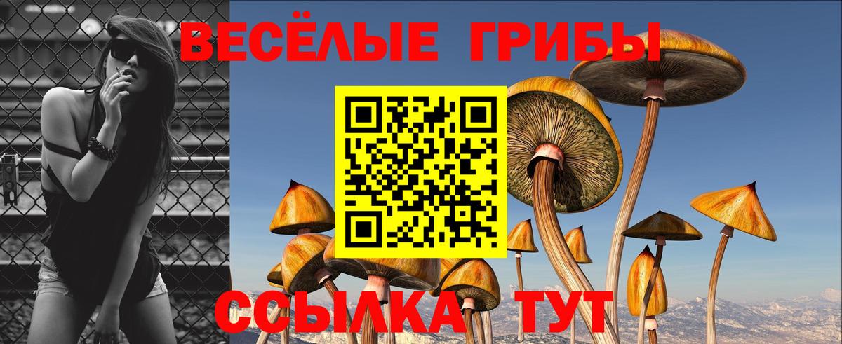 Галлюциногенные грибы прущие грибы Алексин