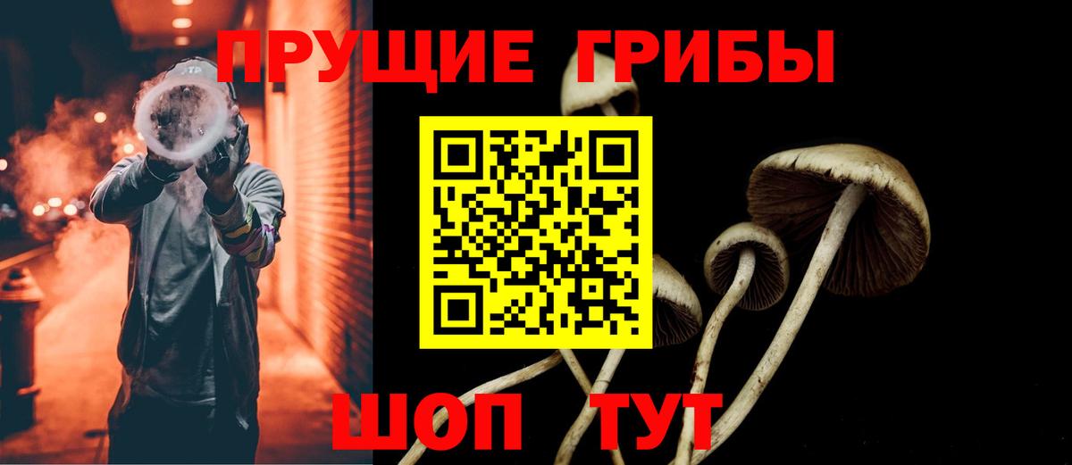 Алексин  Псилоцибиновые грибы Magic Shrooms  Вход с VPN 